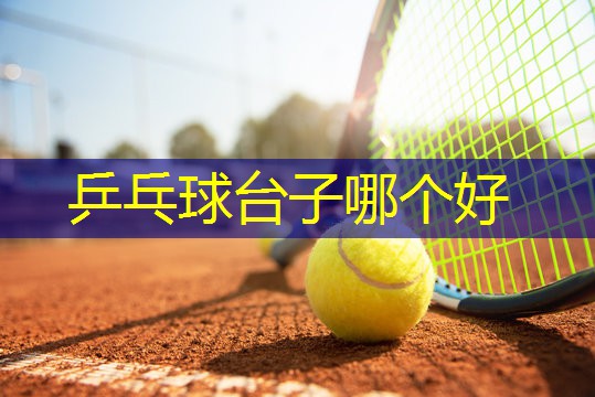 乒乓球台子哪个好