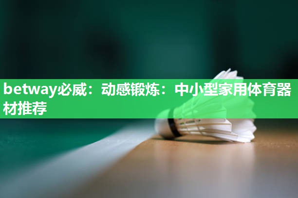 动感锻炼：中小型家用体育器材推荐